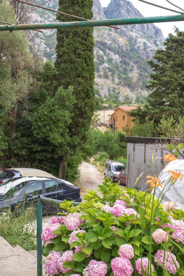 كوتور St Duke Apartment المظهر الخارجي الصورة